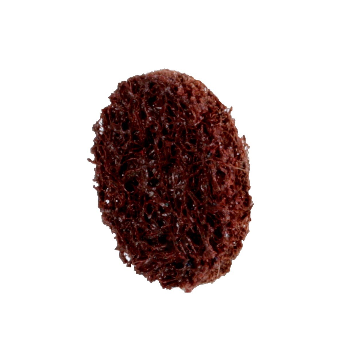 3M PN-DR 89271 Scotch-Brite Roloc Precision Surface Conditioning Disc TR Coarse Brown 3/4 in (7100263901) (200 Pack) - 4