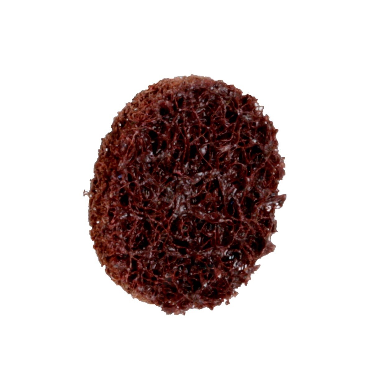 3M PN-DR 89271 Scotch-Brite Roloc Precision Surface Conditioning Disc TR Coarse Brown 3/4 in (7100263901) (200 Pack) - 5