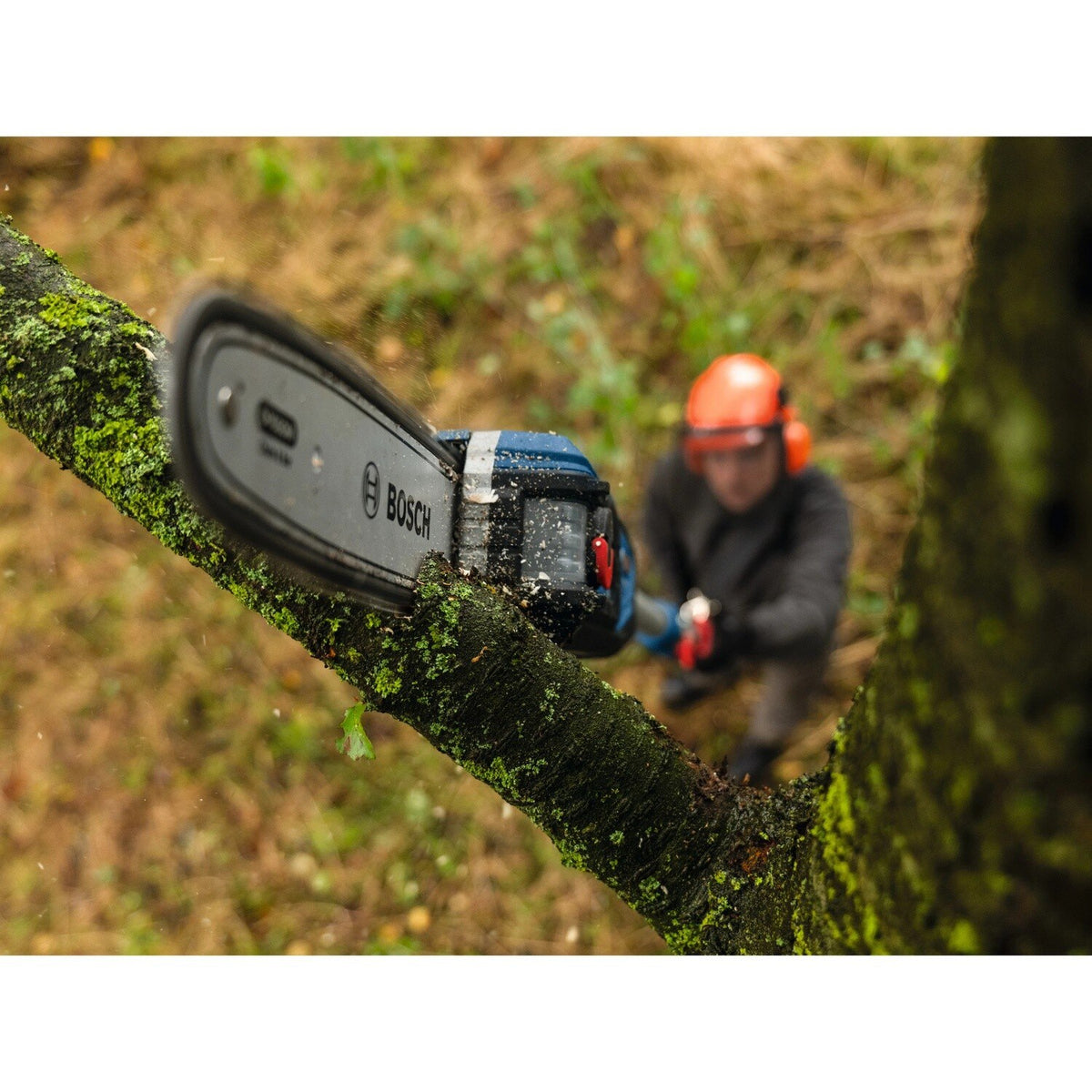 Bosch GKE18V-25TPN18X 18V 10" Cordless Telescopic Pole Chainsaw Kit with 8 Ah Battery