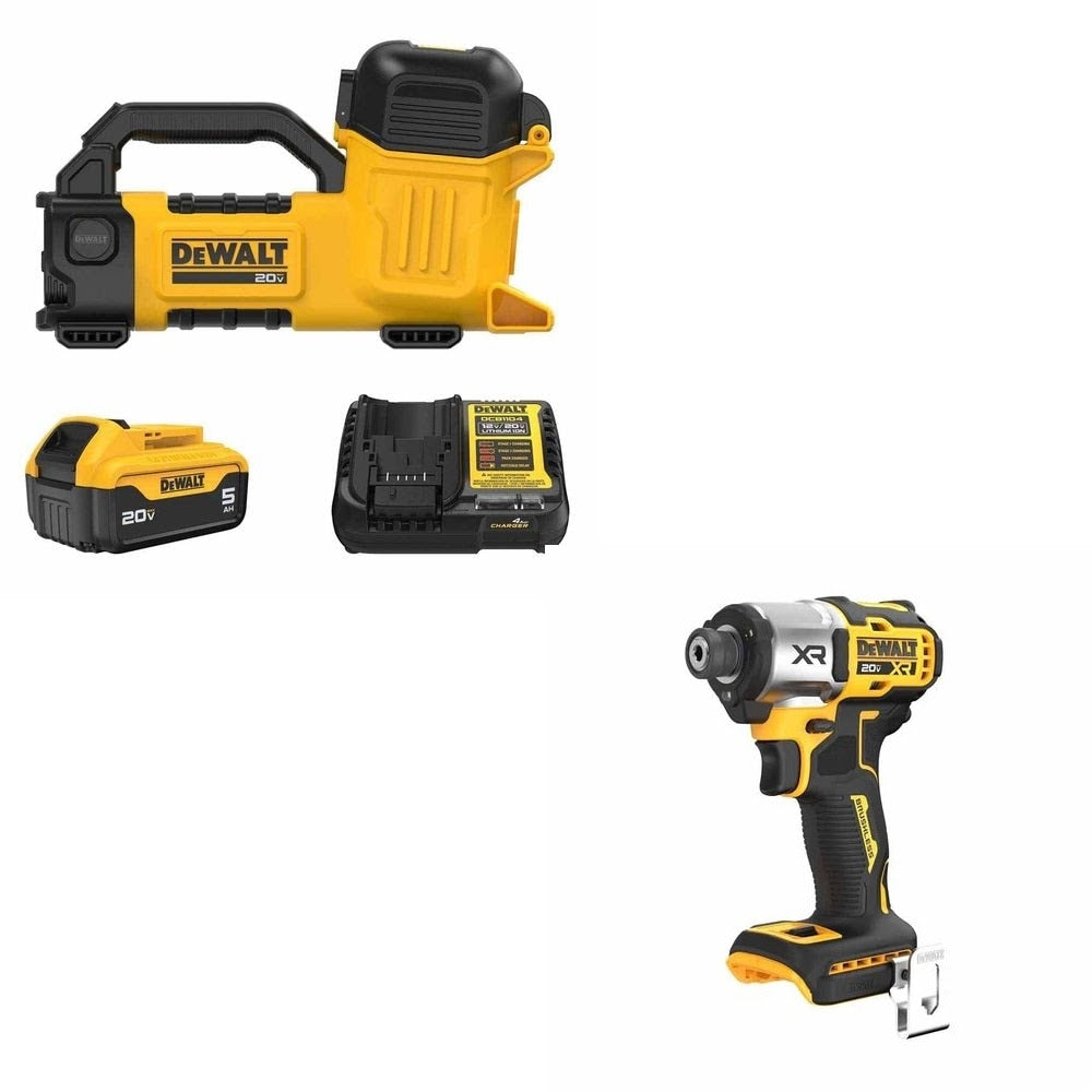 DeWalt DCE050P1 Transfer Pump Kit W/ FREE DCF845B Impact Driver