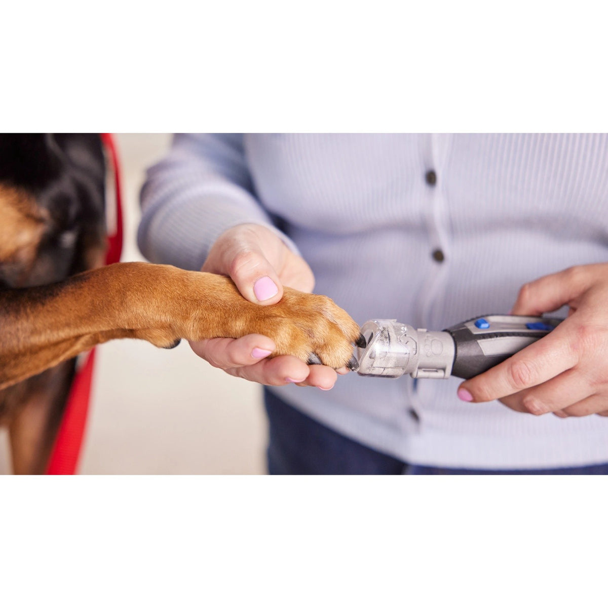 Dremel AT02-PGK Pet Grooming Nail Guard Attachment Kit for Rotary Tools - 5