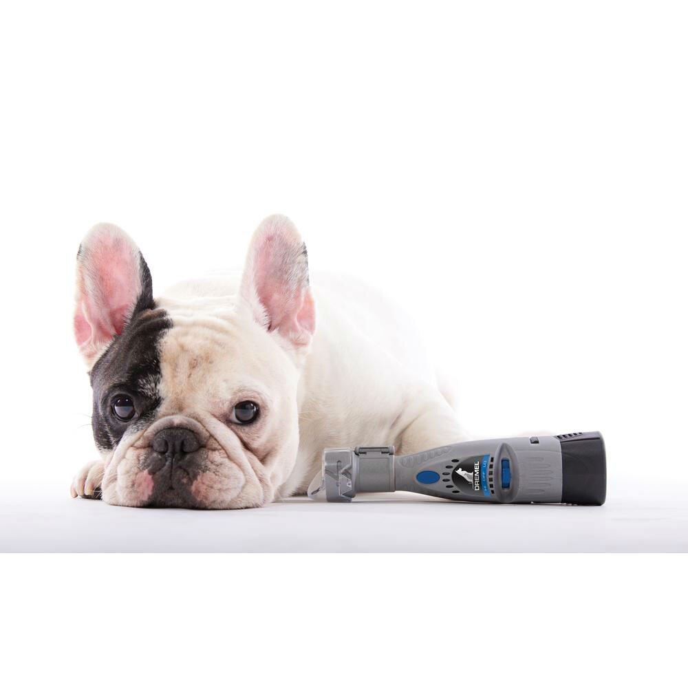 Dremel SD60-PGK EZ Lock Pet Nail Grooming Discs - 3