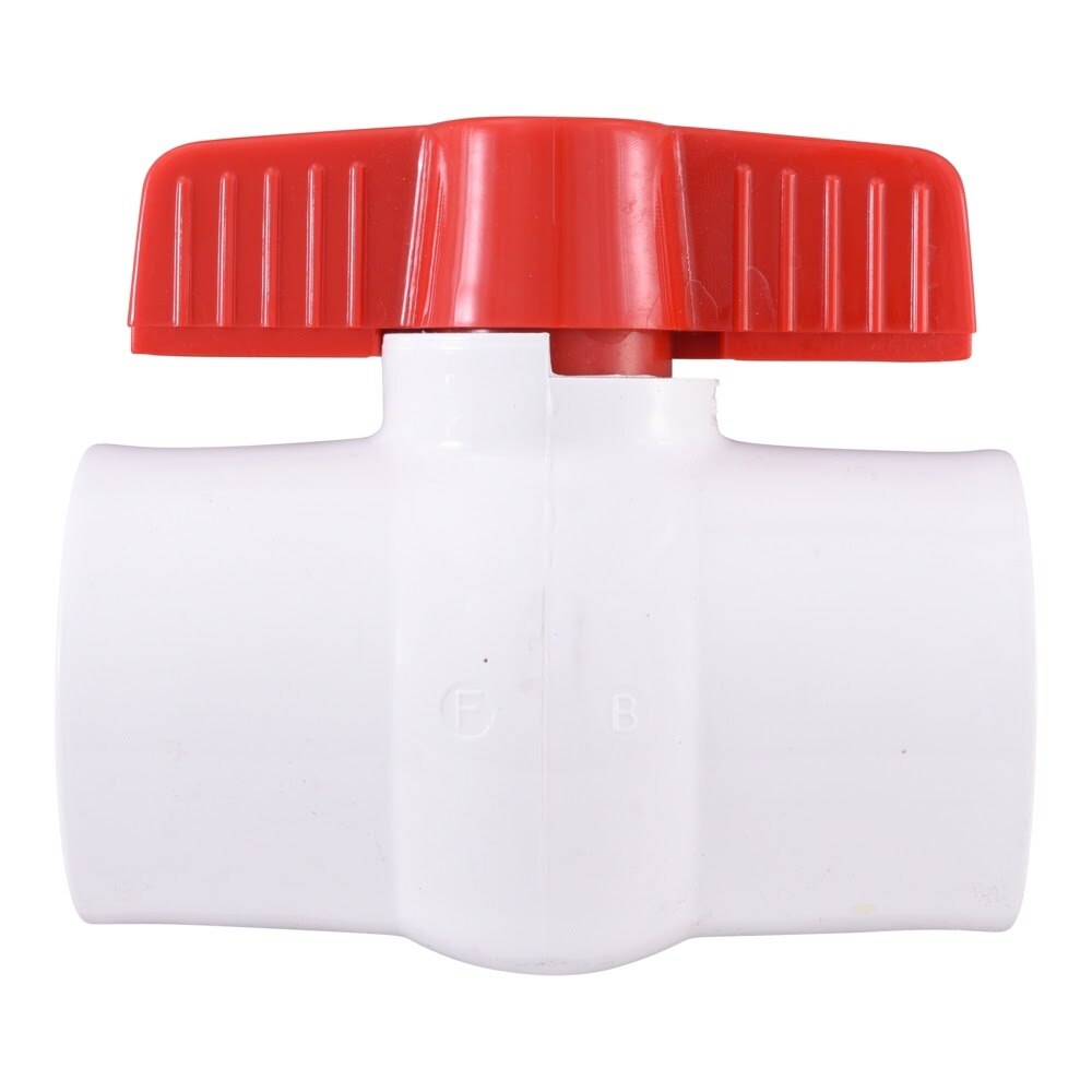 Eastman 20087 2 in IPS Schedule 40 PVC Ball Valve 150 PSI - 2