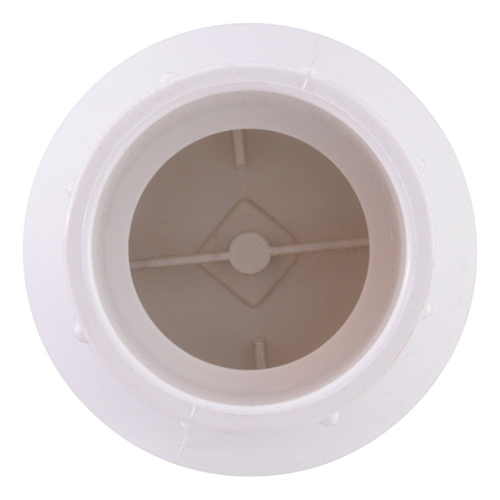 Eastman 20457N 2 in. Slip x Slip PVC Schedule 40 In-Line Check Valve - 3
