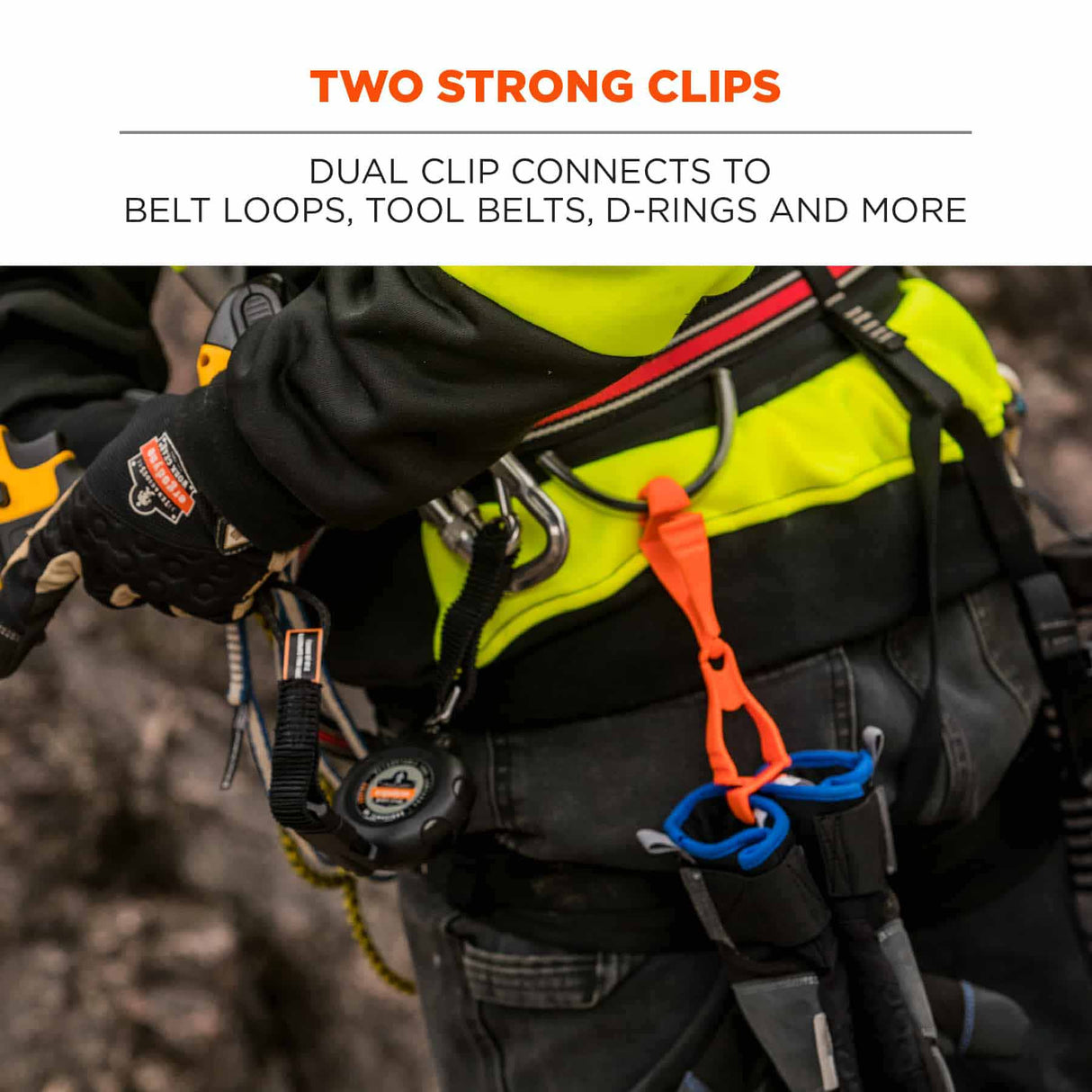 Ergodyne 19717-BULK 3400-BULK Blue Glove Clip Holder - Dual Clips 100-Pack - 5