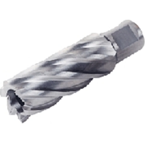 Fein 63134349002 1-3/8" x 2" Slugger