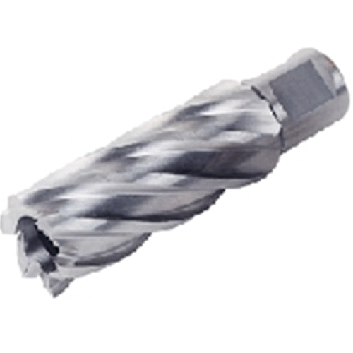 Fein 63134349002 1-3/8" x 2" Slugger