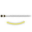 Simpson Strong-Tie DTH212S305BR01 (#7 x 2") Trim-Head Collated Screw, Sharp Point, Type 305, Brown 01 (1300 Pack)