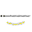 Simpson Strong-Tie DTH212S305GR (#7 x 2-1/2") Trim-Head Collated Screw, Sharp Point, Type 305, Gray (1000 Pack)