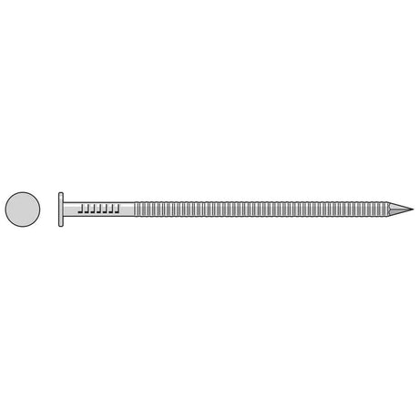 Simpson Strong-Tie S6ACN1 (2-in. x .120-in.) Common Nail, Annular Ring Shank, Type 304 Stainless Steel (1 lb.)