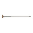 Simpson Strong-Tie S8SNDS5 (2-1/2 in. x .092 in.) 14Ga Stainless Steel Painted Siding Nail - Sienna (5 lb.)