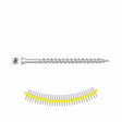 Simpson Strong-Tie SSDTH212S (#7 x 3" #2 Square) Trim-Head Screw Sharp Point Collated - Type 305 (1000 Pack)