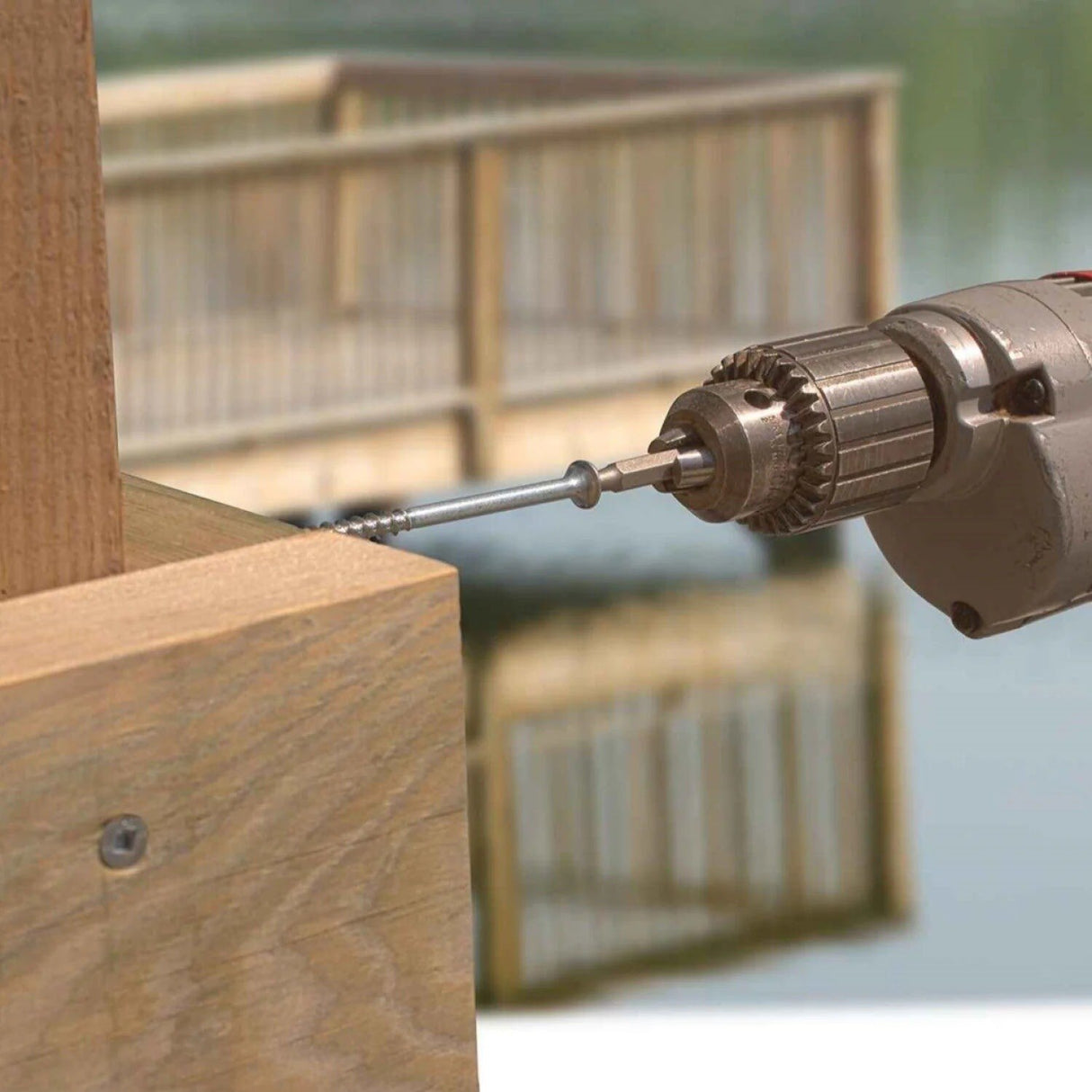 Simpson Strong-Tie S10250DB1 (#10 x 2-1/2") Bugle-Head Wood Screw, Square Drive Type 305 (1 lb. Tub) - 3