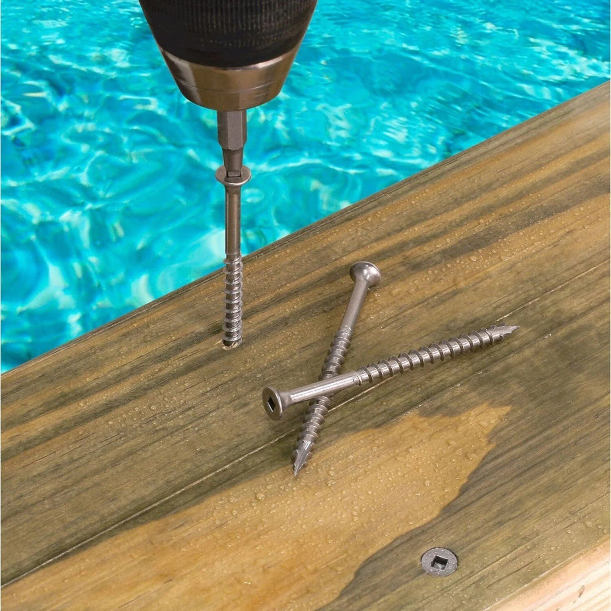 Simpson Strong-Tie T08162DB5 (#8 x 1-5/8") #2 Square-Drive Bugle-Head Wood Screw - Type 316 (5 lb) - 3