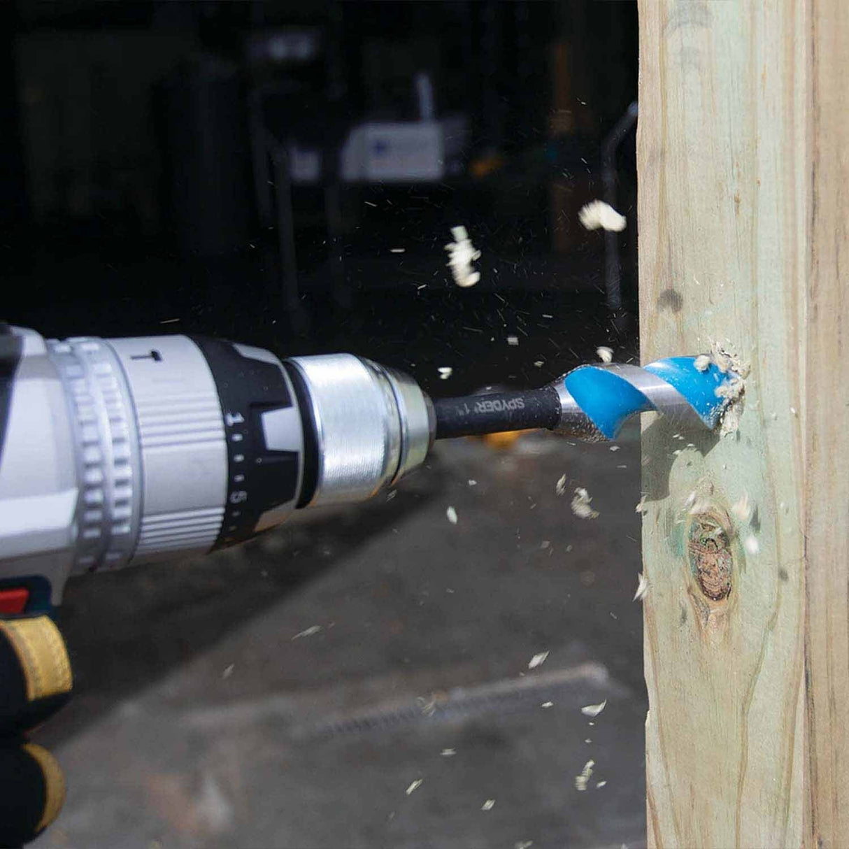 Spyder 12007 13/16-Inch x 6-1/2-Inch Auger Bit - 8