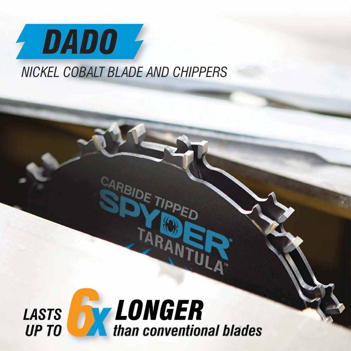 Spyder 13023 6-Inch 12-Tooth Dado Tungsten Carbide Tipped Steel Circular Saw Blade - 5