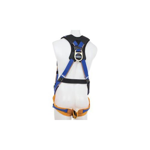 Werner H211001 Blue Armor, Standard, Chest& Leg Buckles, D Ring, Harness, S - 3