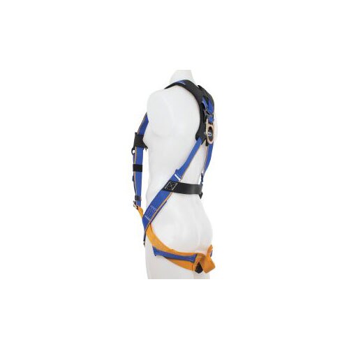Werner H211005 Blue Armor,Standard,Chest& Leg Buckles, D Ring, Harness, XXL - 2