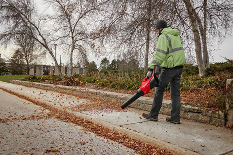 Man blowing leaves