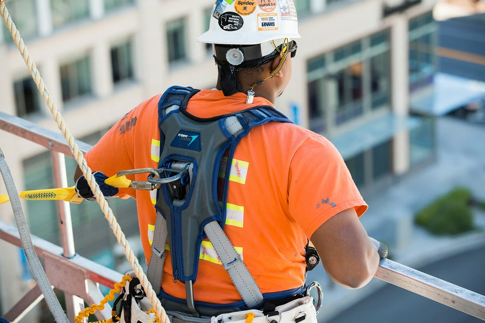 Fall Protection Harness 