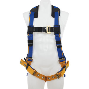 2 D-Ring Harnesses