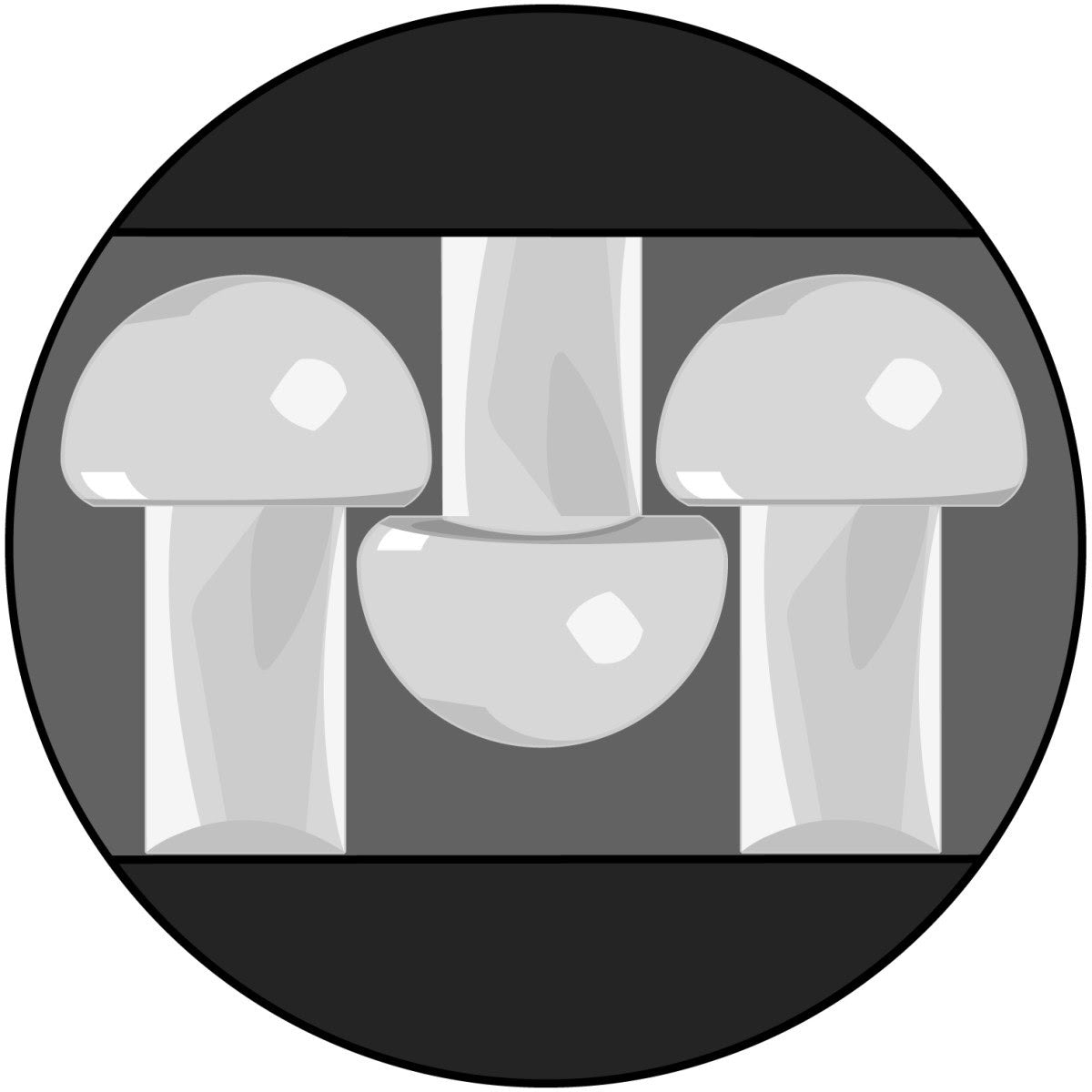 3M SJ4570 Dual Lock Low Profile Reclosable Fastener, Clear, 1 in x 50 yd (7000002105) (2 Pack) - 5