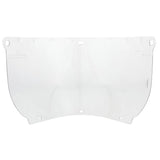 3M 82543-00000 Clear Polycarbonate Faceshield Window, Flat, Transparent, 14.5 in x 7.5 in (WP98) (7000002337) (10 Pack)
