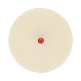 3M 07501 Scotch-Brite Molding Adhesive and Stripe Removal Disc, 4 in x 3/8 in (7000028458) (5 Pack)