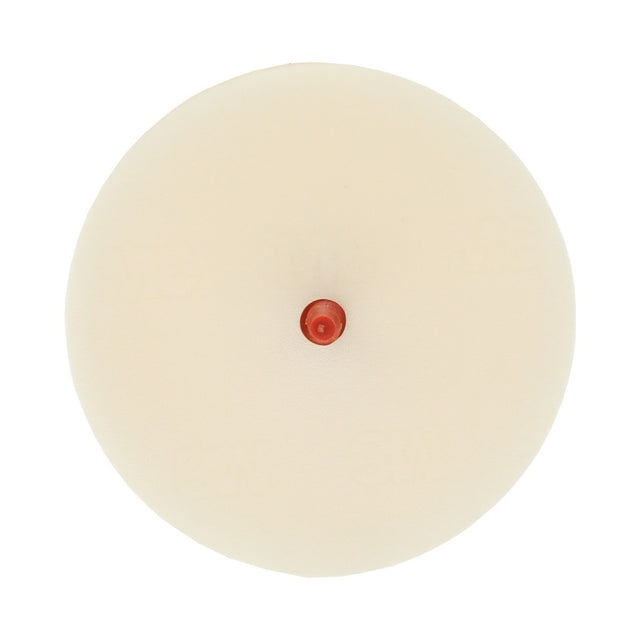 3M 07501 Scotch-Brite Molding Adhesive and Stripe Removal Disc, 4 in x 3/8 in (7000028458) (5 Pack)