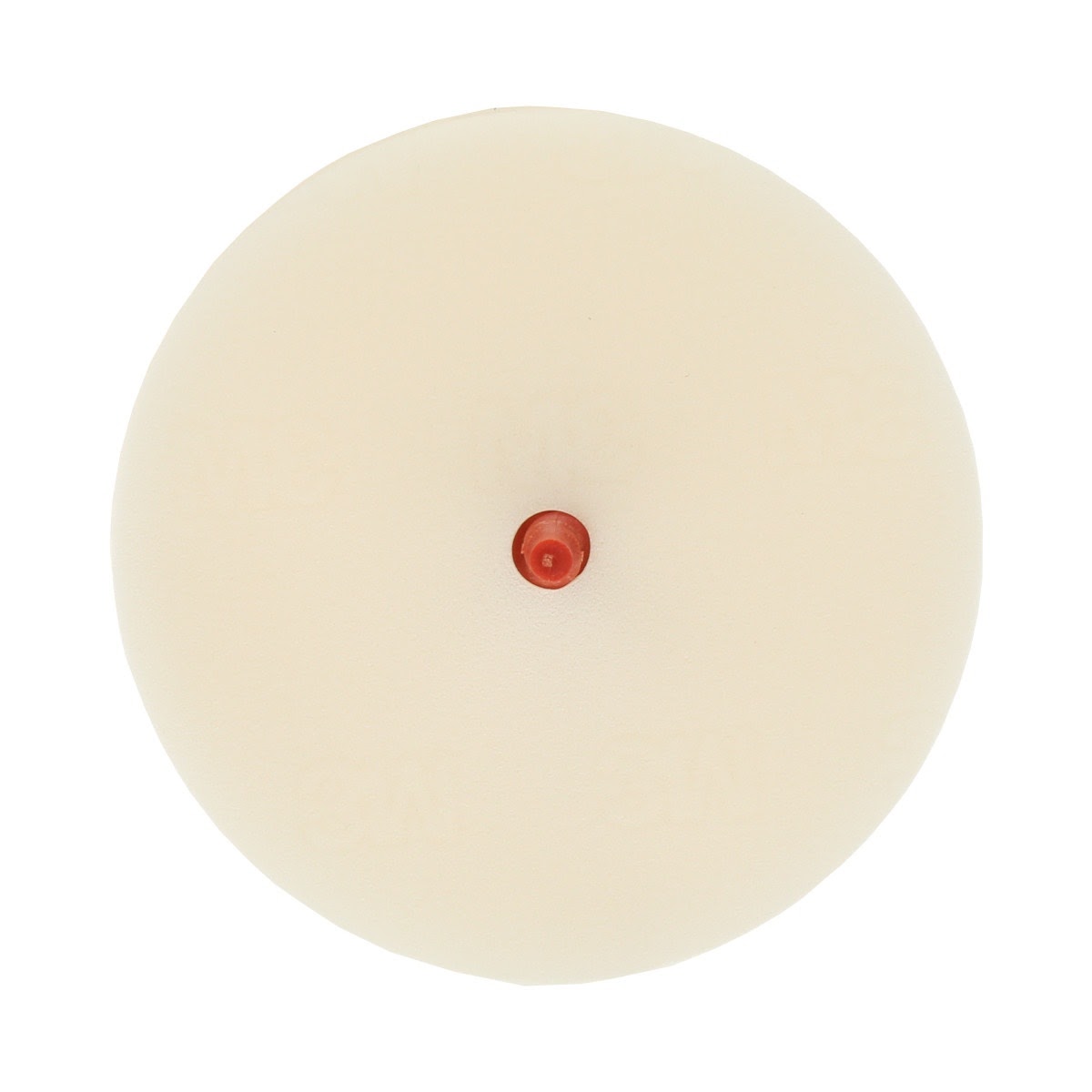 3M 07502 Scotch-Brite Molding Adhesive and Stripe Removal Disc, 6 in x 3/8 in (7000045950) (5 Pack)