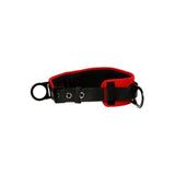 3M 1091013 PROTECTA Tongue Buckle Positioning Belt with Hip Pad, 2 Side D-Rings, Red, Small (7012815160) - 3