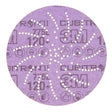 3M 775L Xtract Cubitron II Film Disc , 120+, 5 in, Die 500LG (7100045071) (250 Pack)