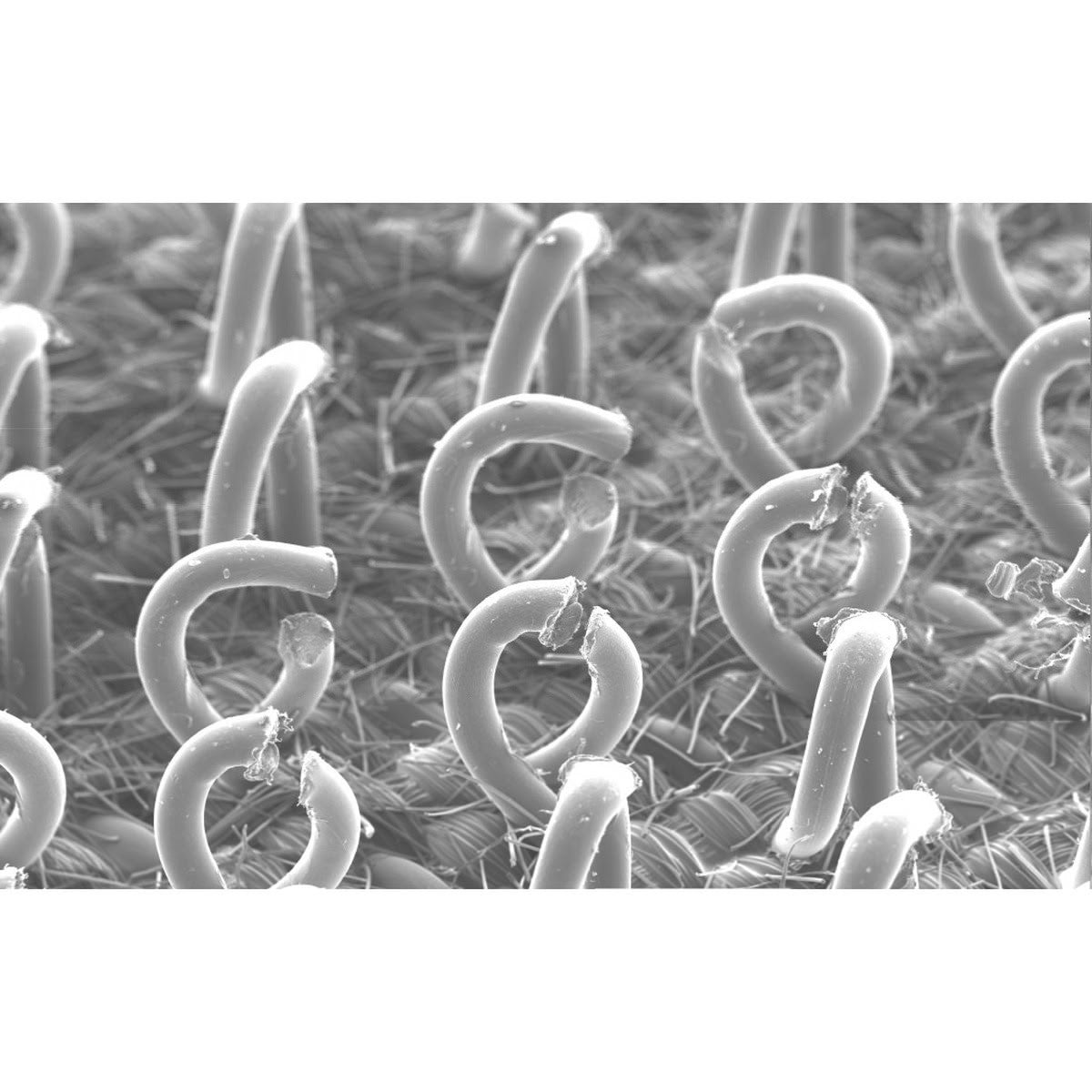 3M 28325 Clean Sanding Pad Hook Saver, 3 in x 4 in 33 Holes (7100114589) (20 Pack) - 3