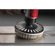 3M BD-ZB Scotch-Brite Bristle Disc, 36, Brown, 7 in x 7/8 in (7100138183) (5 Pack) - 2