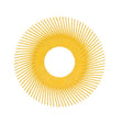 3M Scotch-Brite Radial Bristle Brush Replacement Disc T-A 80 Refill, 80 Grit, Yellow, 6 in, 6000 rpm (7100138194) (80 Pack)