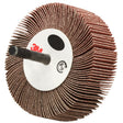 3M 244D Flap Wheel Type 83, 60 Grit X Weight, 3 in x 1 in x 1/4 in (7100178227) (10 Pack)