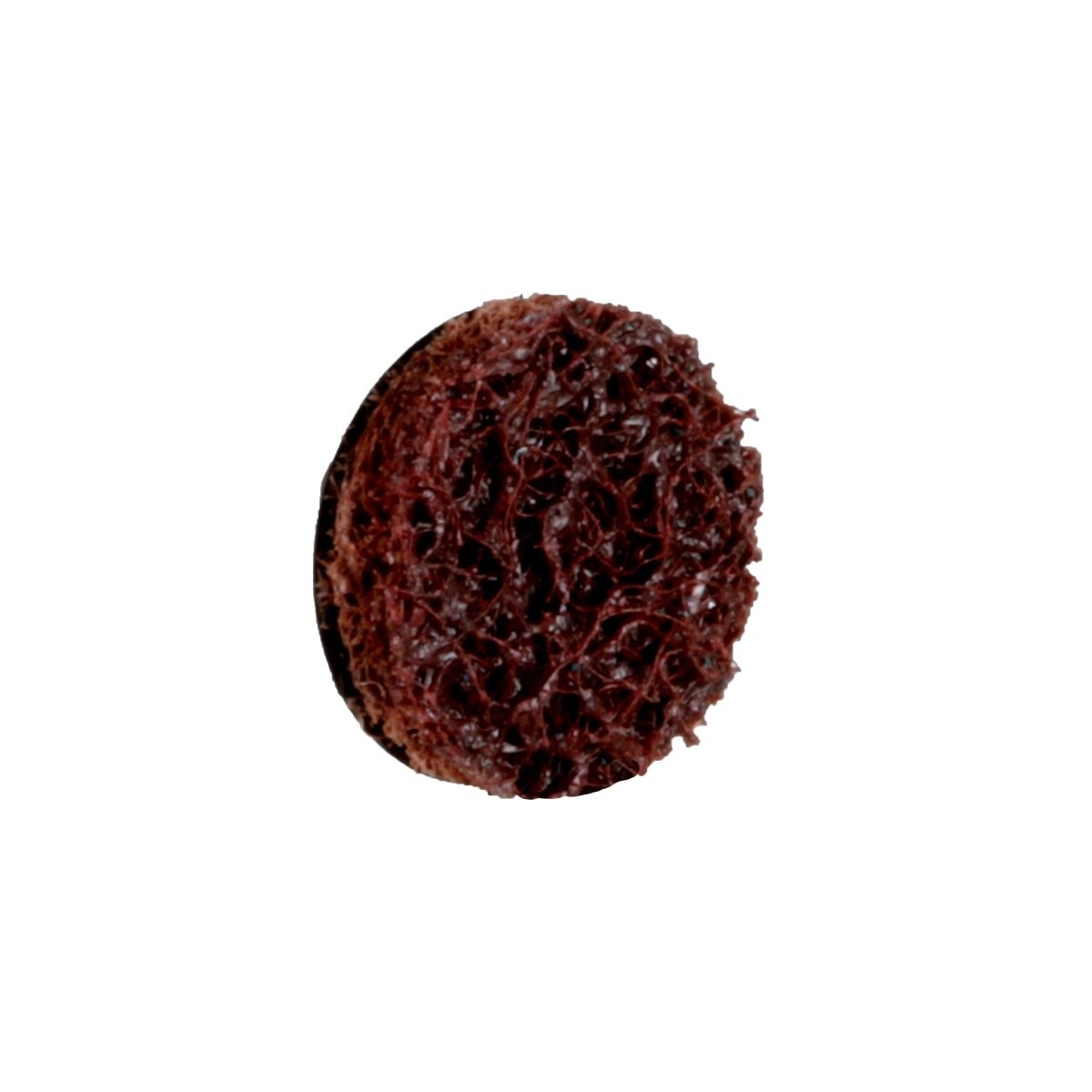 3M PN-DR Scotch-Brite Roloc Precision Surface Conditioning Disc, TR, Coarse, Precision Shaped Ceramic Nonwoven Fiber, Brown, 1 in, Dispenser Pack (89320) (7100271028) (200 Pack) - 5