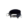 3M DBI Sala 1091014 PROTECTA PRO Tongue Buckle Body Belt with Back D-Ring and Miners Straps, Medium/Large