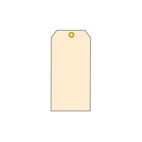 Accuform TB115P Blank Manilla Tags with Eyelet
