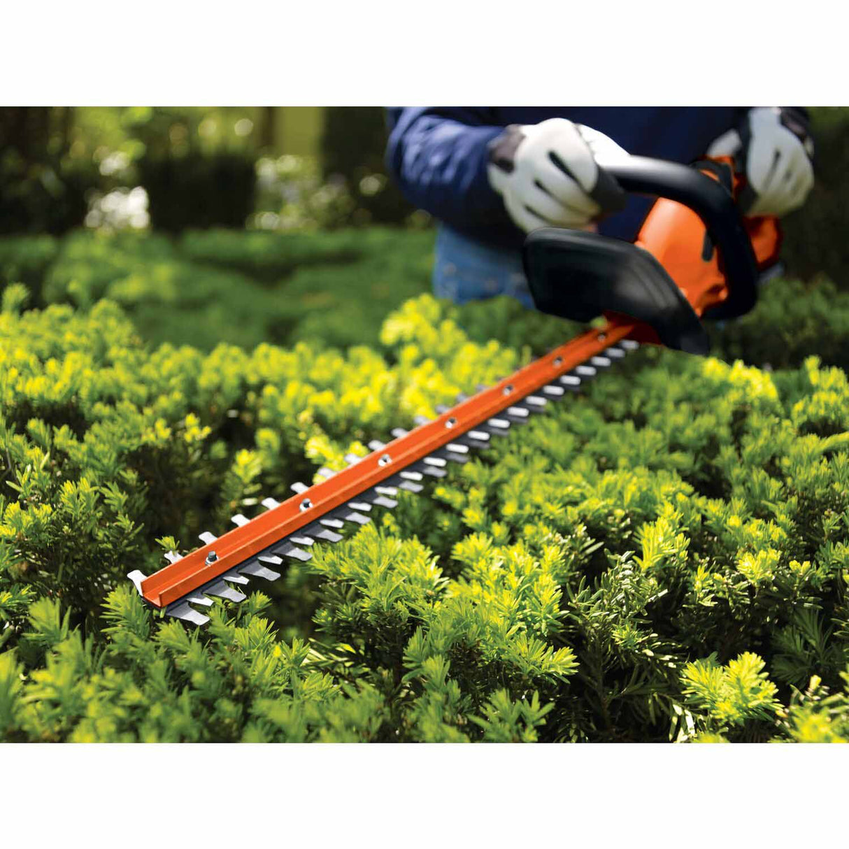 Black & Decker LHT2220 20V MAX Lithium 22 in. Hedge Trimmer - 10