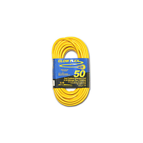 Southwire 93155 50? Extension Cord, 12/3 Gauge, STW, Twist Lock