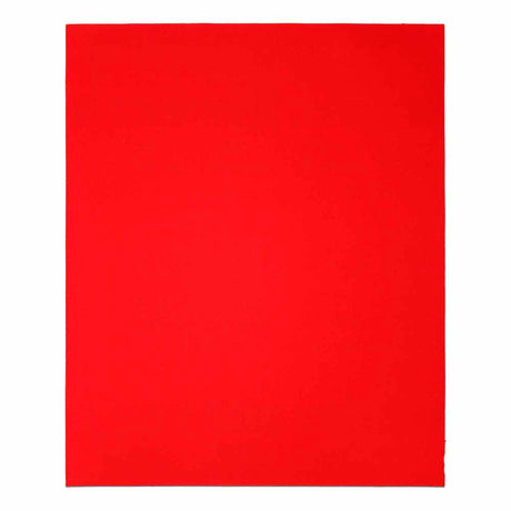 Diablo DCS911100S01B 9" x 11" 100-Grit (Medium) Sanding Sheet