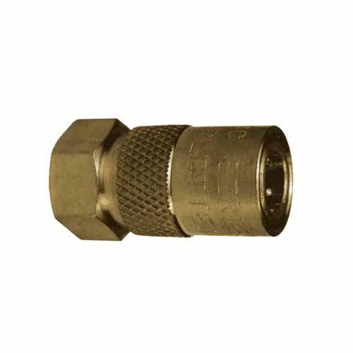 Dixon 2CMF1-B-E 1/4 MOLD COUP, 1/8 F-NPTF BRASS, UNVALVED - 2