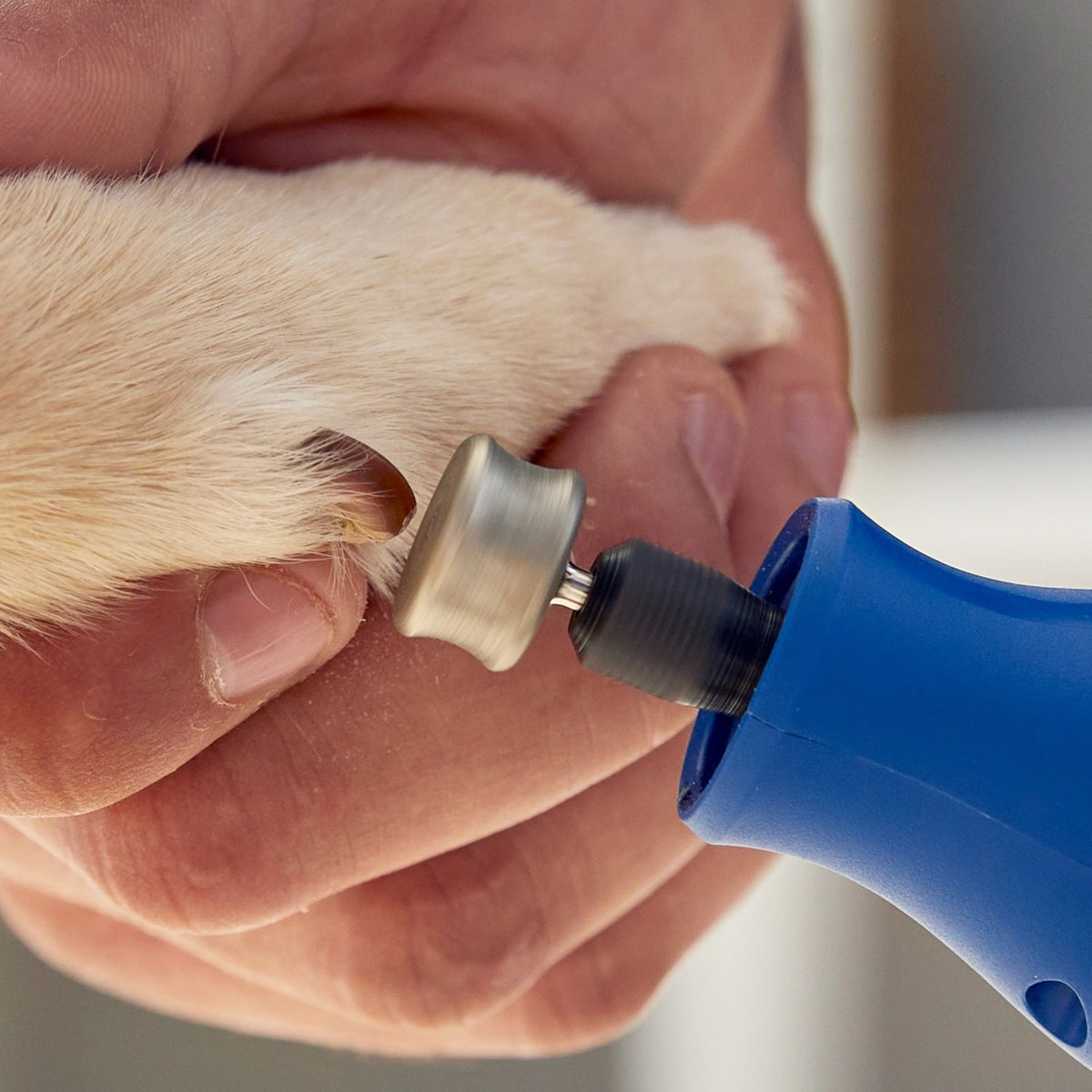 Dremel 416HP 5/8" Diamond Coated Pet Grooming Accessory for Nail Trimming - 5