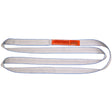 Lift All EN2803TX20 2-Ply Tuff-Edge Polyester Endless Web Sling, 3"x20'