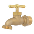 Eastman 20183 3/4 in. MIP Brass Hose Bibb with T Handle