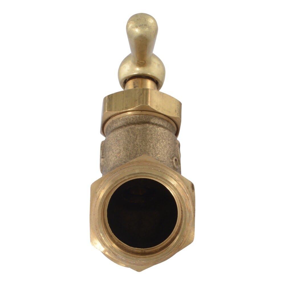 Eastman 20207 3/4 in. Brass No Kink Hose Bibb with MIP x MHT Connections - 3