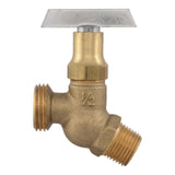 Eastman 20217 1/2 in. MIP Loose Key No-Kink Hose Bibb with Female Outlet - 2