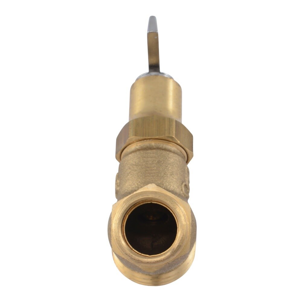Eastman 20217 1/2 in. MIP Loose Key No-Kink Hose Bibb with Female Outlet - 3