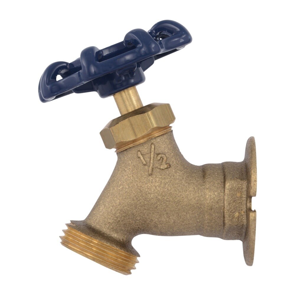 Eastman 20221 1/2 in. FIP Brass Sillcock Hose End Valve - 3